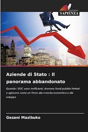 Aziende di Stato : Il panorama abbandonato