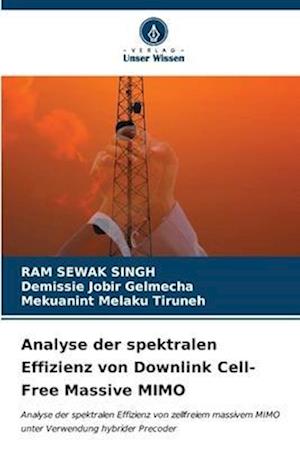 Analyse der spektralen Effizienz von Downlink Cell-Free Massive MIMO