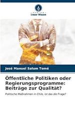 Öffentliche Politiken oder Regierungsprogramme: Beiträge zur Qualität?