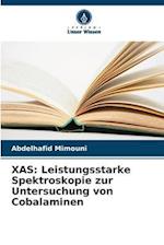 XAS: Leistungsstarke Spektroskopie zur Untersuchung von Cobalaminen