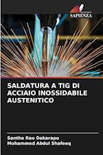 SALDATURA A TIG DI ACCIAIO INOSSIDABILE AUSTENITICO