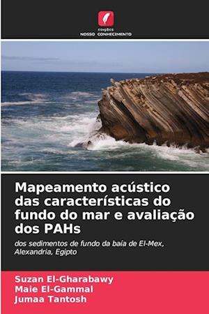 Mapeamento acústico das características do fundo do mar e avaliação dos PAHs