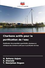 Charbons actifs pour la purification de l'eau