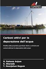 Carboni attivi per la depurazione dell'acqua