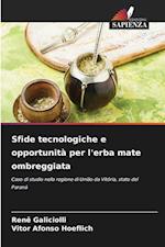 Sfide tecnologiche e opportunità per l'erba mate ombreggiata