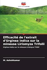 Efficacité de l'extrait d'Urginea indica sur la mineuse Liriomyza Trifolii