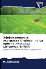 Jeffektiwnost' äxtrakta Urginea indica protiw listoeda Liriomyza Trifolii