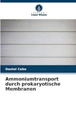 Ammoniumtransport durch prokaryotische Membranen