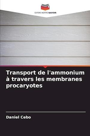 Transport de l'ammonium à travers les membranes procaryotes