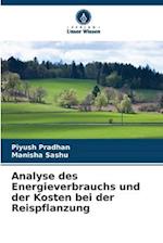 Analyse des Energieverbrauchs und der Kosten bei der Reispflanzung