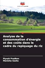 Analyse de la consommation d'énergie et des coûts dans le cadre du repiquage du riz