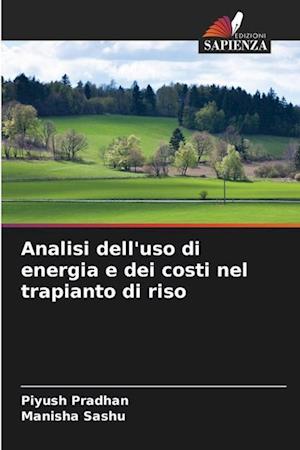 Analisi dell'uso di energia e dei costi nel trapianto di riso