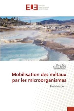 Mobilisation des métaux par les microorganismes