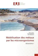 Mobilisation des métaux par les microorganismes