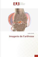 Imagerie de l¿arthrose