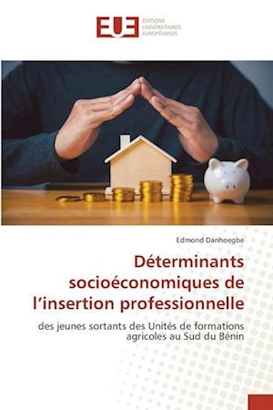 Déterminants socioéconomiques de l¿insertion professionnelle