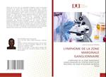 LYMPHOME DE LA ZONE MARGINALE GANGLIONNAIRE