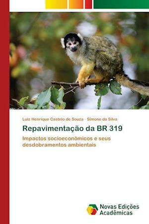 Repavimentação da BR 319