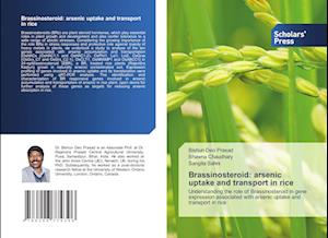 Brassinosteroid: arsenic uptake and transport in rice