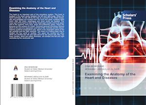 Examining the Anatomy of the Heart and Diseases