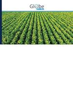 Rainfall Variability and Climatological Risks for Soybean Cultivation