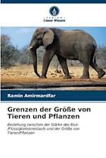 Grenzen der Größe von Tieren und Pflanzen