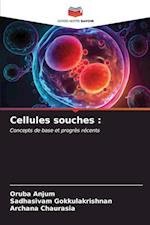 Cellules souches :