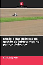 Eficácia das práticas de gestão de infestantes no painço biológico