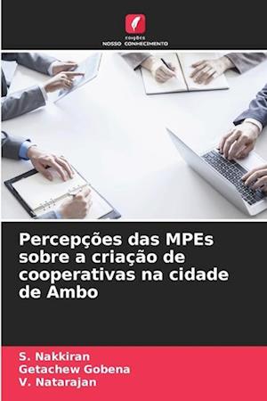 Percepções das MPEs sobre a criação de cooperativas na cidade de Ambo