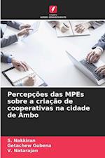 Percepções das MPEs sobre a criação de cooperativas na cidade de Ambo