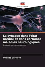 La synapse dans l'état normal et dans certaines maladies neurologiques