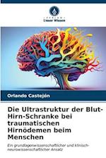 Die Ultrastruktur der Blut-Hirn-Schranke bei traumatischen Hirnödemen beim Menschen