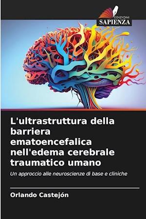 L'ultrastruttura della barriera ematoencefalica nell'edema cerebrale traumatico umano