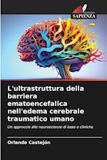 L'ultrastruttura della barriera ematoencefalica nell'edema cerebrale traumatico umano