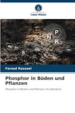 Phosphor in Böden und Pflanzen