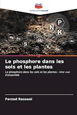 Le phosphore dans les sols et les plantes