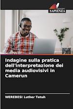 Indagine sulla pratica dell'interpretazione dei media audiovisivi in Camerun