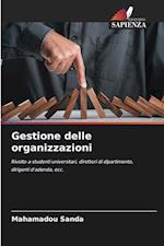 Gestione delle organizzazioni