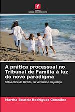 A prática processual no Tribunal de Família à luz do novo paradigma