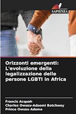 Orizzonti emergenti: L'evoluzione della legalizzazione delle persone LGBTI in Africa