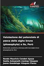 Valutazione del potenziale di pesca delle alghe brune (phaeophyta) a Ilo, Perù