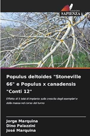 Populus deltoides "Stoneville 66" e Populus x canadensis "Conti 12"