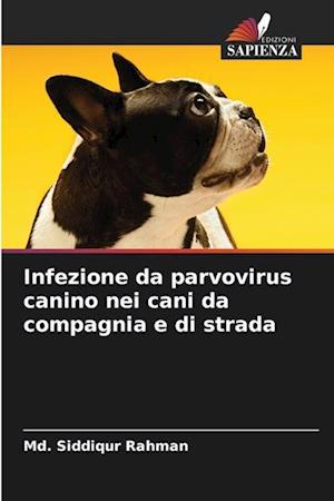 Infezione da parvovirus canino nei cani da compagnia e di strada