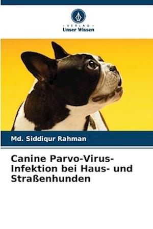 Canine Parvo-Virus-Infektion bei Haus- und Straßenhunden