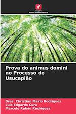 Prova do animus domini no Processo de Usucapião