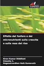 Effetto del fosforo e dei micronutrienti sulla crescita e sulla resa del riso