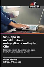 Sviluppo di un'istituzione universitaria online in Cile