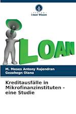 Kreditausfälle in Mikrofinanzinstituten - eine Studie