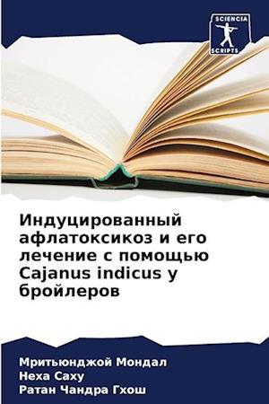 Inducirowannyj aflatoxikoz i ego lechenie s pomosch'ü Cajanus indicus u brojlerow