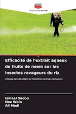 Efficacité de l'extrait aqueux de fruits de neem sur les insectes ravageurs du riz